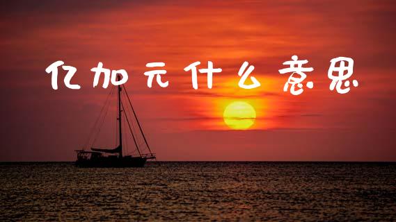 亿加元什么意思_https://wap.ycdhulan.com_财务投资_第1张