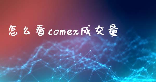 怎么看comex成交量_https://wap.ycdhulan.com_金融咨询_第1张