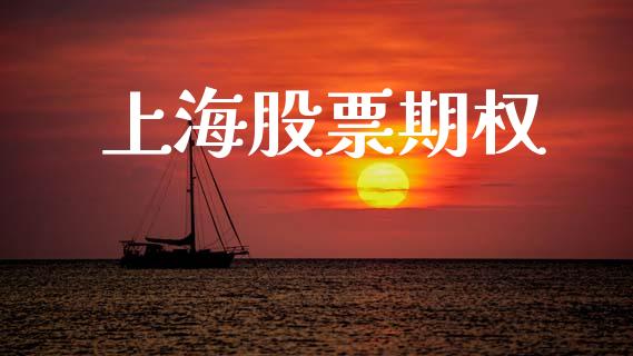 上海股票期权_https://wap.ycdhulan.com_货币市场_第1张