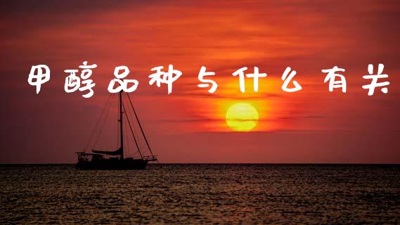 甲醇品种与什么有关_https://wap.ycdhulan.com_货币市场_第1张