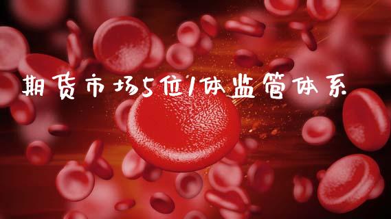 期货市场5位1体监管体系_https://wap.ycdhulan.com_财务投资_第1张