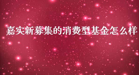 嘉实新募集的消费型基金怎么样_https://wap.ycdhulan.com_投资基金_第1张