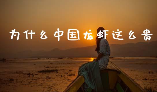 为什么中国龙虾这么贵_https://wap.ycdhulan.com_货币市场_第1张