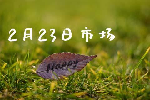 2月23日市场_https://wap.ycdhulan.com_金融咨询_第1张
