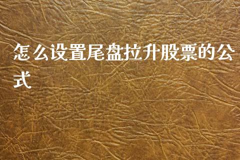 怎么设置尾盘拉升股票的公式_https://wap.ycdhulan.com_财务投资_第1张