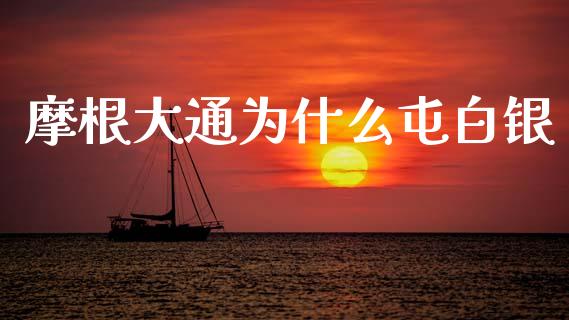 摩根大通为什么屯白银_https://wap.ycdhulan.com_国际财经_第1张