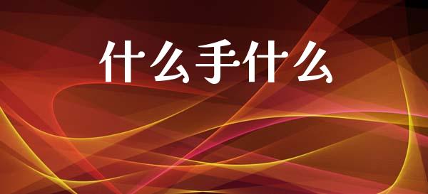什么手什么_https://wap.ycdhulan.com_金融咨询_第1张