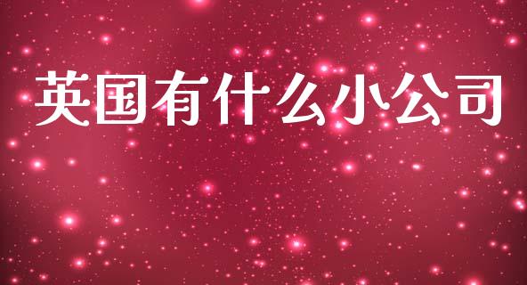 英国有什么小公司_https://wap.ycdhulan.com_投资基金_第1张