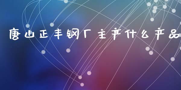唐山正丰钢厂主产什么产品_https://wap.ycdhulan.com_国际财经_第1张