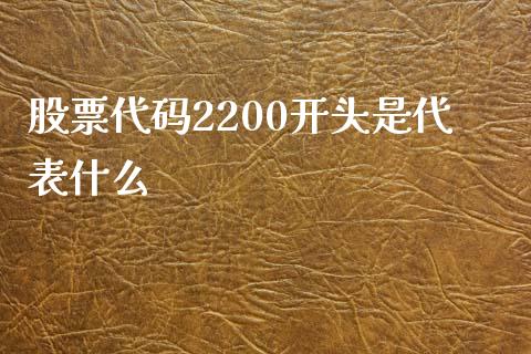 股票代码2200开头是代表什么_https://wap.ycdhulan.com_财务投资_第1张