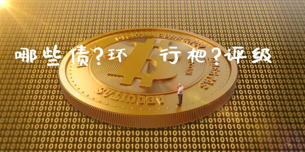 哪些债?环⑿行杷?评级_https://wap.ycdhulan.com_财经新闻_第1张