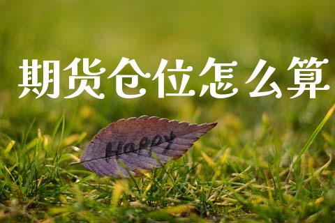 期货仓位怎么算_https://wap.ycdhulan.com_货币市场_第1张