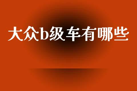 大众b级车有哪些_https://wap.ycdhulan.com_财务投资_第1张