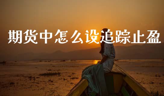 期货中怎么设追踪止盈_https://wap.ycdhulan.com_财务投资_第1张