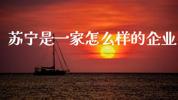 苏宁是一家怎么样的企业_https://wap.ycdhulan.com_财务投资_第1张