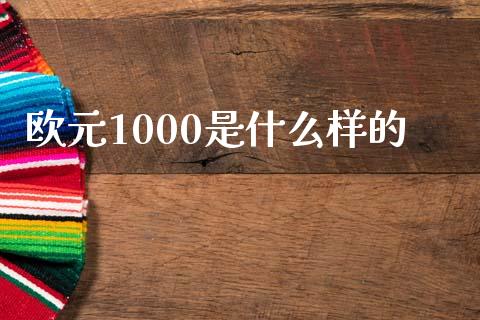 欧元1000是什么样的_https://wap.ycdhulan.com_货币市场_第1张