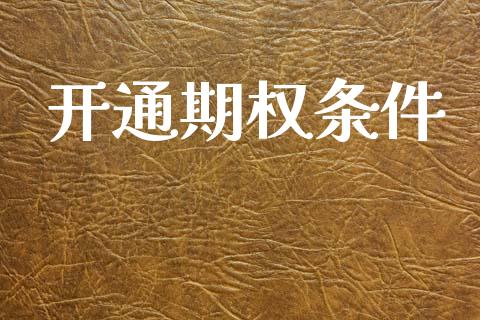 开通期权条件_https://wap.ycdhulan.com_财经新闻_第1张