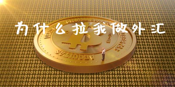 为什么拉我做外汇_https://wap.ycdhulan.com_货币市场_第1张