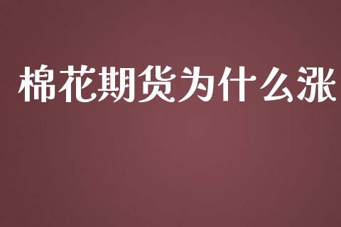 棉花期货为什么涨_https://wap.ycdhulan.com_投资基金_第1张