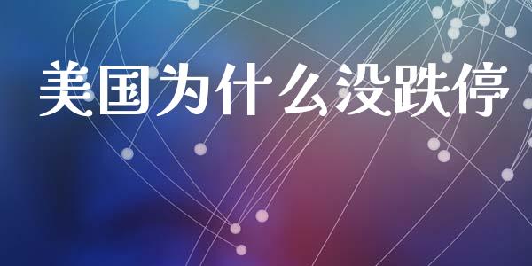 美国为什么没跌停_https://wap.ycdhulan.com_国际财经_第1张