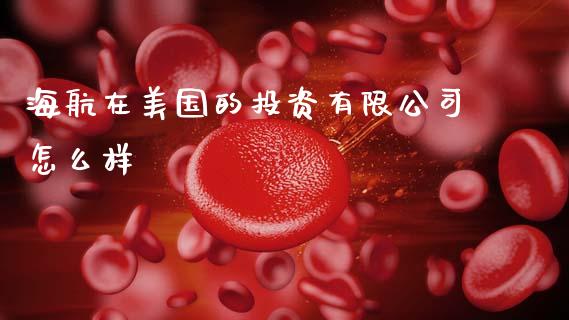 海航在美国的投资有限公司怎么样_https://wap.ycdhulan.com_投资基金_第1张