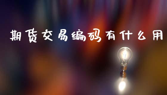 期货交易编码有什么用_https://wap.ycdhulan.com_财务投资_第1张