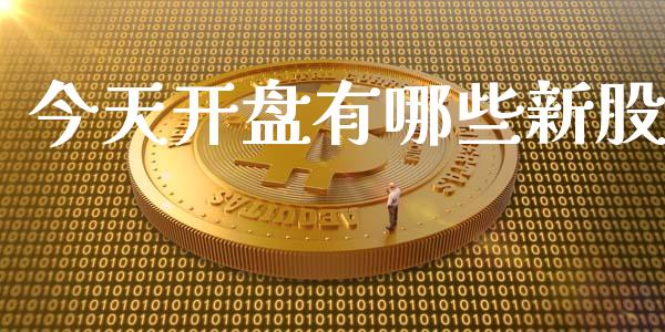今天开盘有哪些新股_https://wap.ycdhulan.com_投资基金_第1张