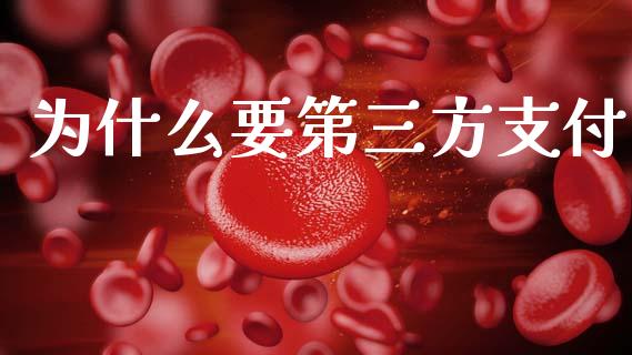为什么要第三方支付_https://wap.ycdhulan.com_财务投资_第1张