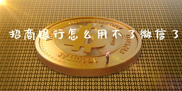 招商银行怎么用不了微信了_https://wap.ycdhulan.com_货币市场_第1张