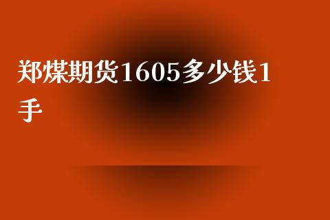 郑煤期货1605多少钱1手_https://wap.ycdhulan.com_财经新闻_第1张