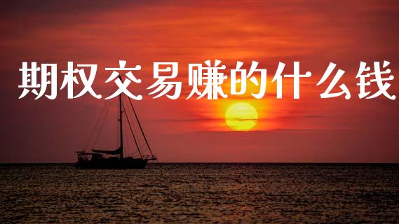 期权交易赚的什么钱_https://wap.ycdhulan.com_财务投资_第1张