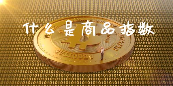 什么是商品指数_https://wap.ycdhulan.com_金融咨询_第1张