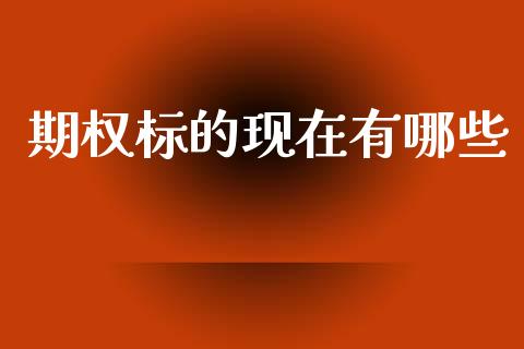 期权标的现在有哪些_https://wap.ycdhulan.com_投资基金_第1张
