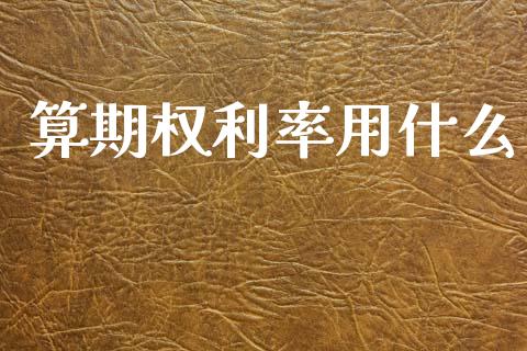 算期权利率用什么_https://wap.ycdhulan.com_国际财经_第1张