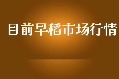 目前早稻市场行情_https://wap.ycdhulan.com_国际财经_第1张