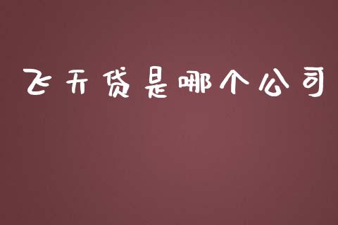 飞天贷是哪个公司_https://wap.ycdhulan.com_财务投资_第1张