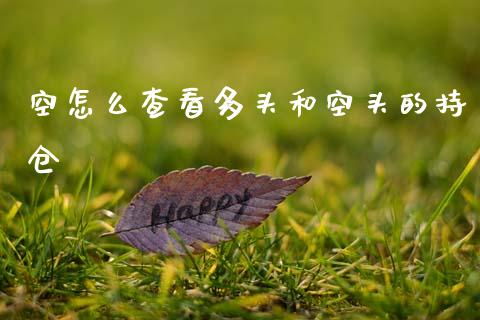 空怎么查看多头和空头的持仓_https://wap.ycdhulan.com_金融咨询_第1张