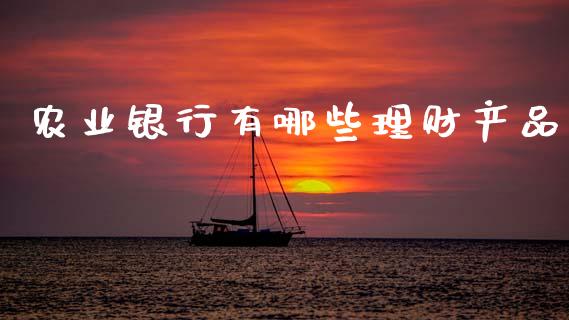 农业银行有哪些理财产品_https://wap.ycdhulan.com_金融咨询_第1张