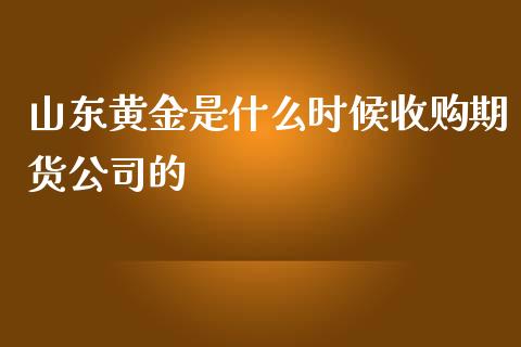 山东黄金是什么时候收购期货公司的_https://wap.ycdhulan.com_财经新闻_第1张