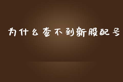 为什么查不到新股配号_https://wap.ycdhulan.com_货币市场_第1张