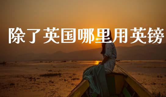 除了英国哪里用英镑_https://wap.ycdhulan.com_金融咨询_第1张