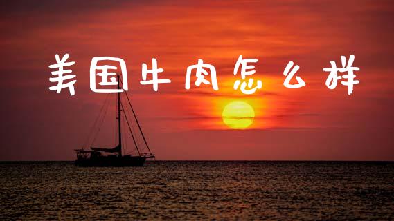 美国牛肉怎么样_https://wap.ycdhulan.com_财务投资_第1张