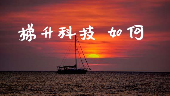 梯升科技 如何_https://wap.ycdhulan.com_国际财经_第1张