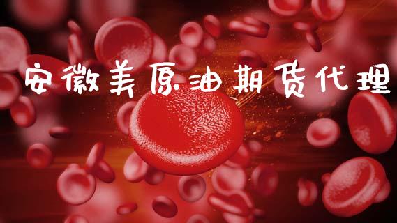 安徽美原油期货代理_https://wap.ycdhulan.com_财务投资_第1张