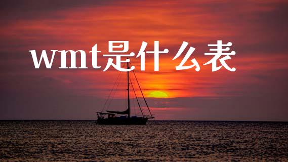 wmt是什么表_https://wap.ycdhulan.com_货币市场_第1张