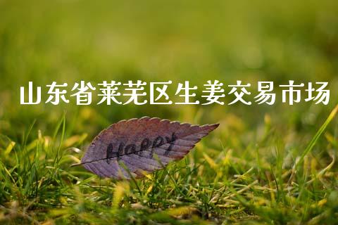 山东省莱芜区生姜交易市场_https://wap.ycdhulan.com_财务投资_第1张