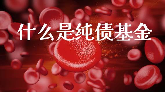 什么是纯债基金_https://wap.ycdhulan.com_国际财经_第1张