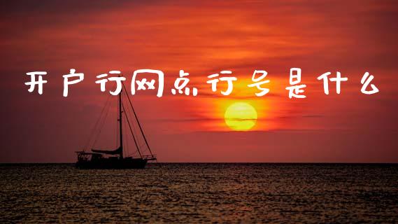 开户行网点行号是什么_https://wap.ycdhulan.com_财务投资_第1张