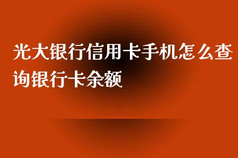 光大银行信用卡手机怎么查询银行卡余额_https://wap.ycdhulan.com_货币市场_第1张
