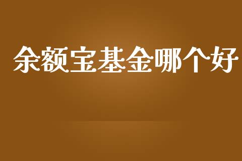 余额宝基金哪个好_https://wap.ycdhulan.com_金融咨询_第1张